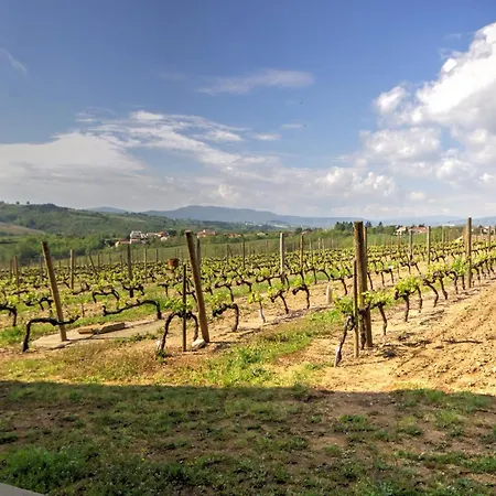 Avec Terrasse Privee Au Coeur Du Vignoble - Fr-1-496-116 *